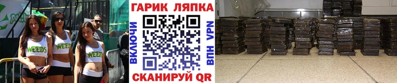 это как зайти  Шагонар  ГАШ 40% ТГК 
