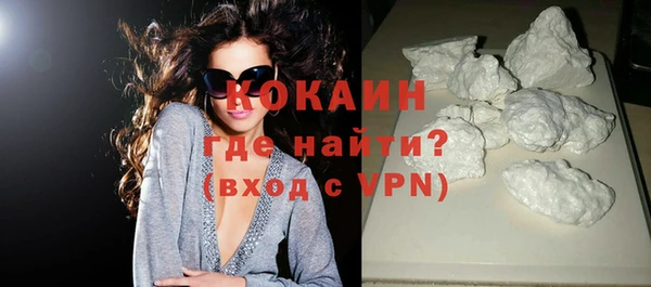 индика Гусев