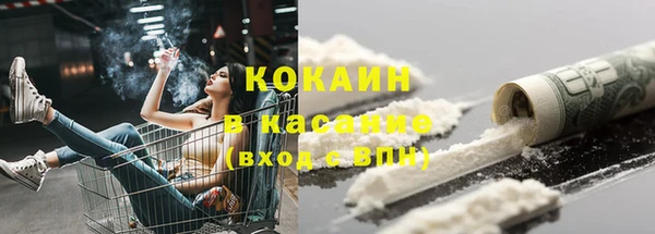 индика Гусев