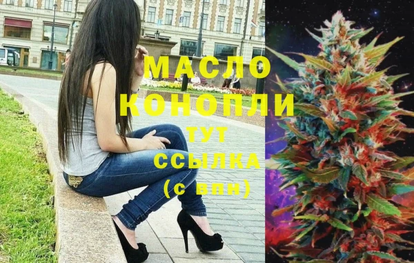 индика Гусев