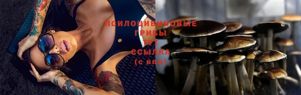 прущий лед Гусь-Хрустальный