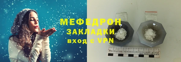 индика Гусев