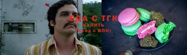 индика Гусев