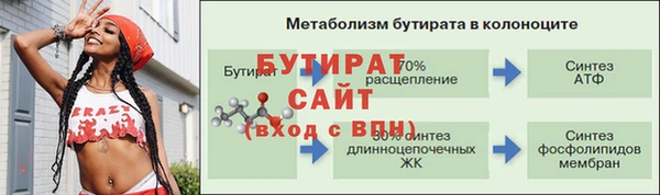 индика Гусев