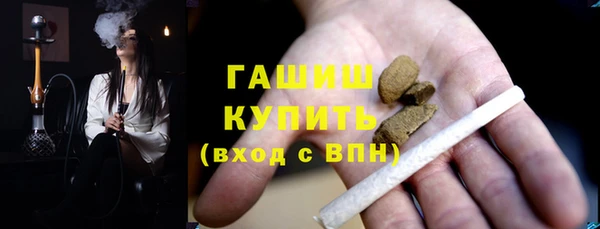 индика Гусев