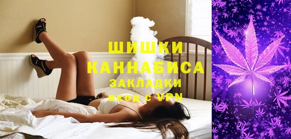 стаф Гусиноозёрск