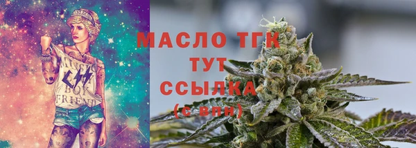 индика Гусев