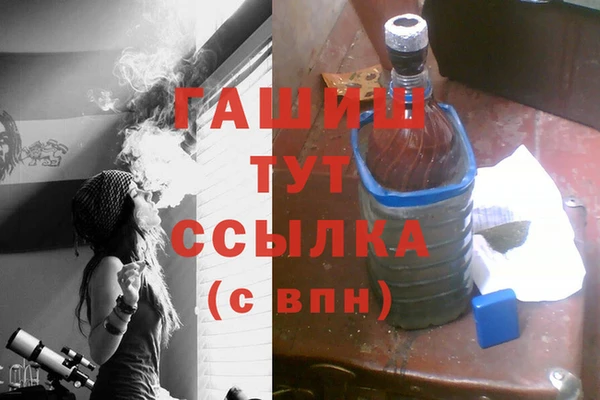 индика Гусев