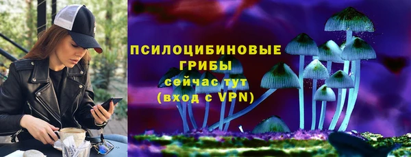 индика Гусев